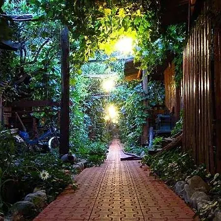 Natural Hotel 3*