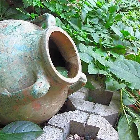 Natural Hotel