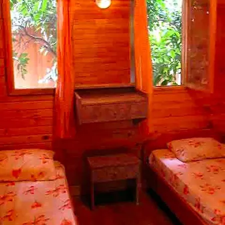 Natural Hotel 3*
